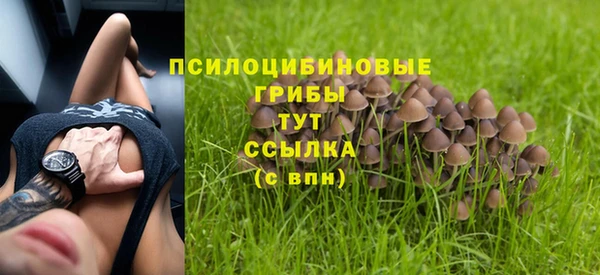 МДМА Арсеньев