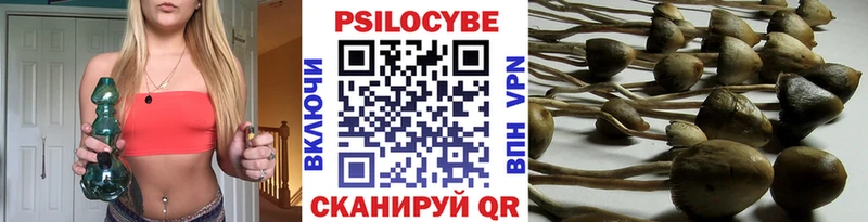 Галлюциногенные грибы прущие грибы Купить где Барыш