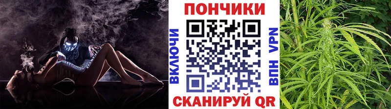 Купить закладки Барыш МАРИХУАНА OG Kush